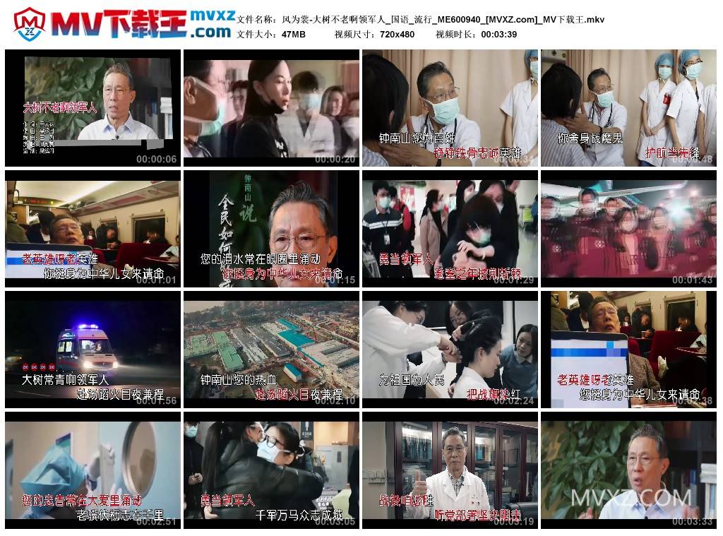 风为裳-大树不老啊领军人_国语_流行_ME600940